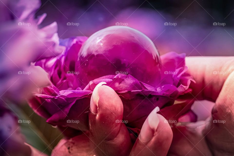 A purple flower and glass bowl in a pot