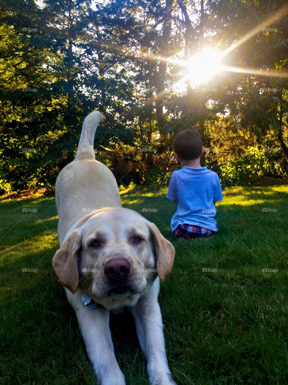 Rear view of child sitting near dog