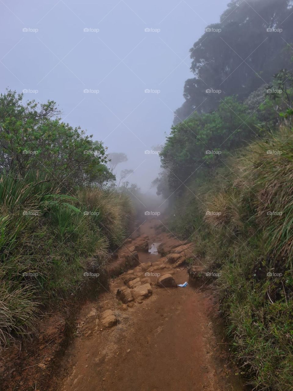 This is a road to heaven with clouds 