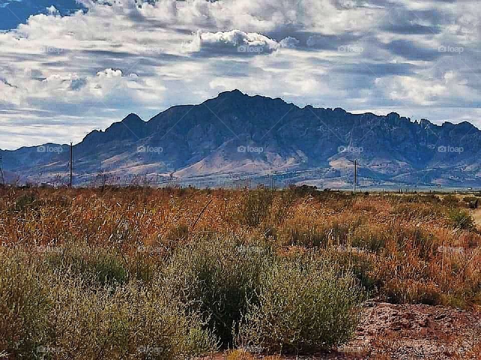 Chiricahua Mountains