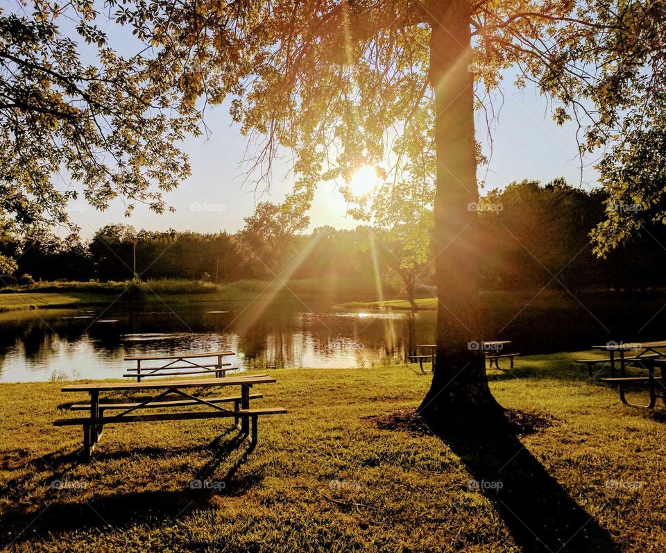 Sunset Picnic