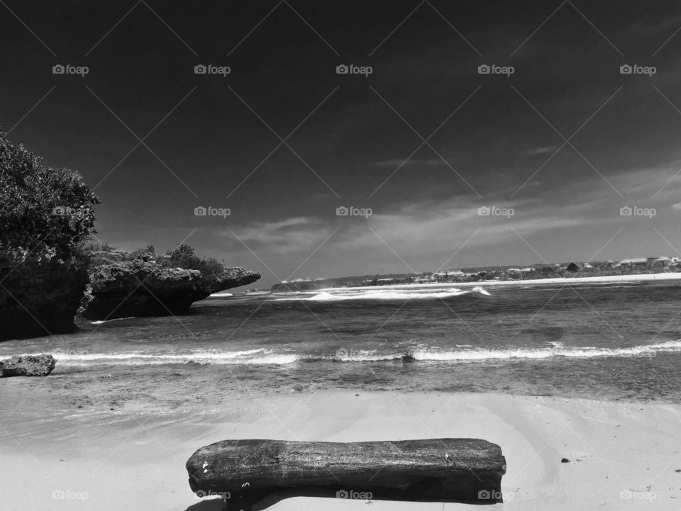 View of log at beach