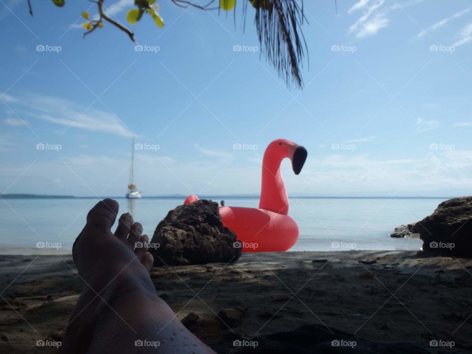 Flamingo foot