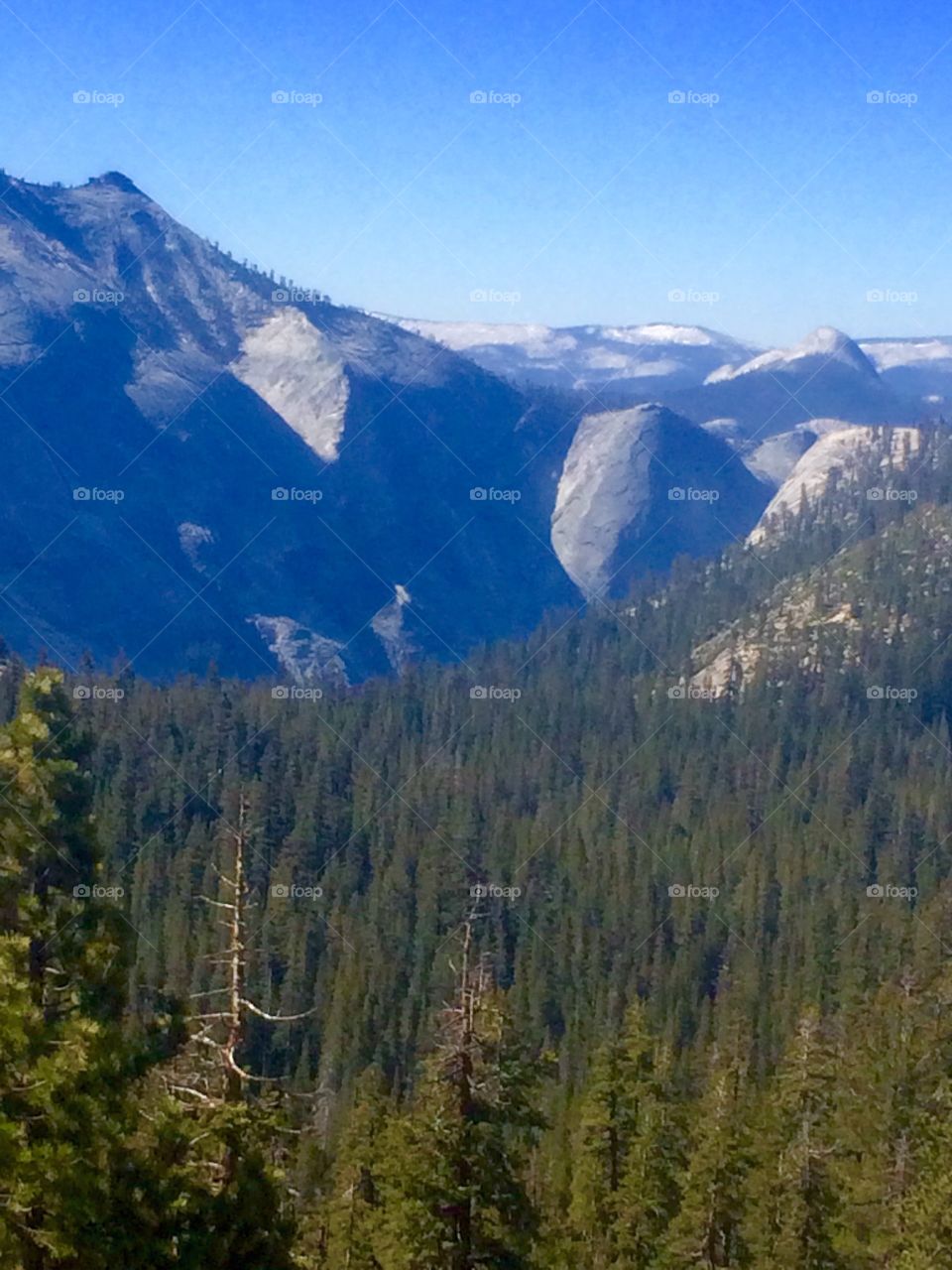 Yosemite in the morning 