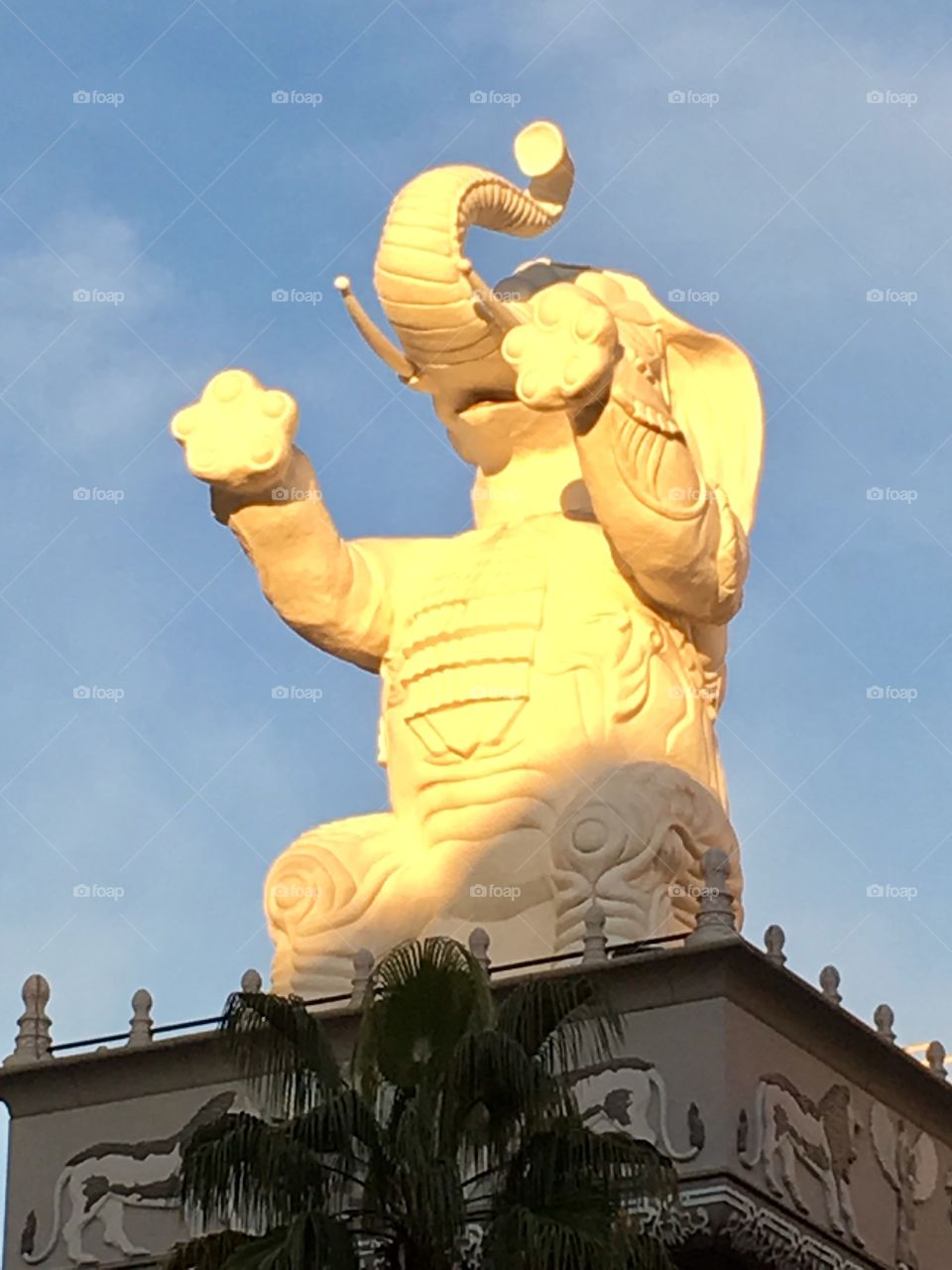 Hollywood elephant