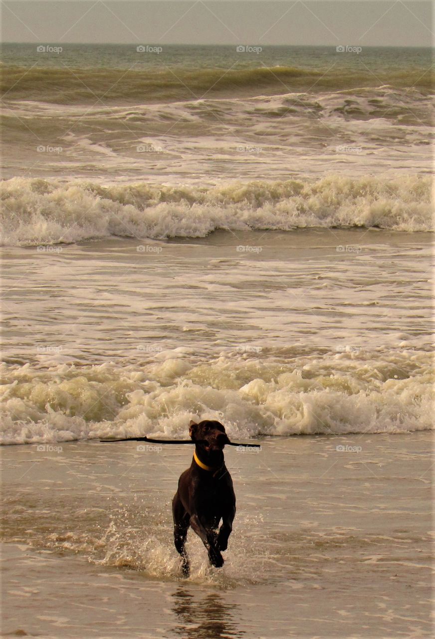 On the beach