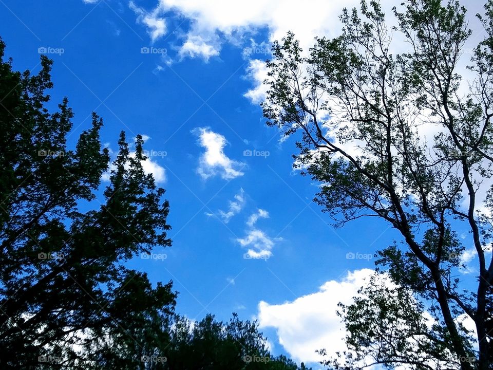 blue sky with clouds