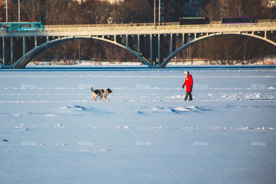 Dog is man's best friend