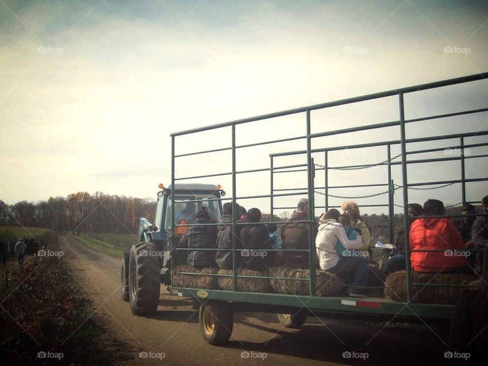 Hay ride