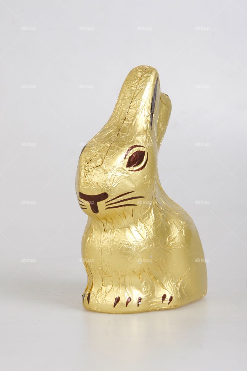 Chocolate bunny 