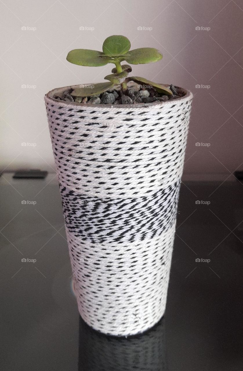 mes pots customisés