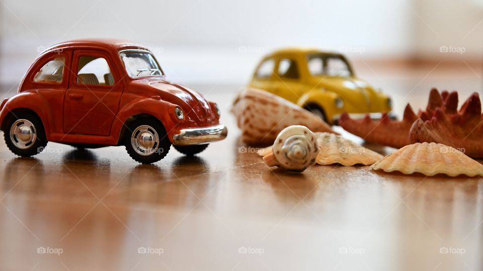 cars are competing with seashells