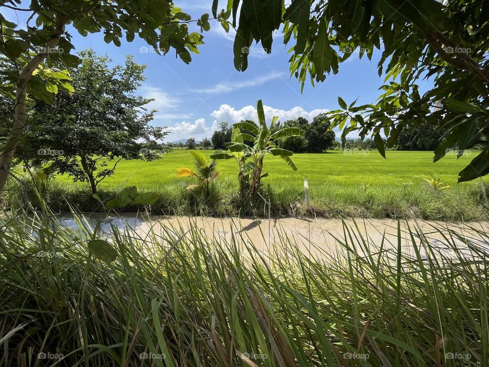 Editors ‘ choice : Photo of the week, Countryside.