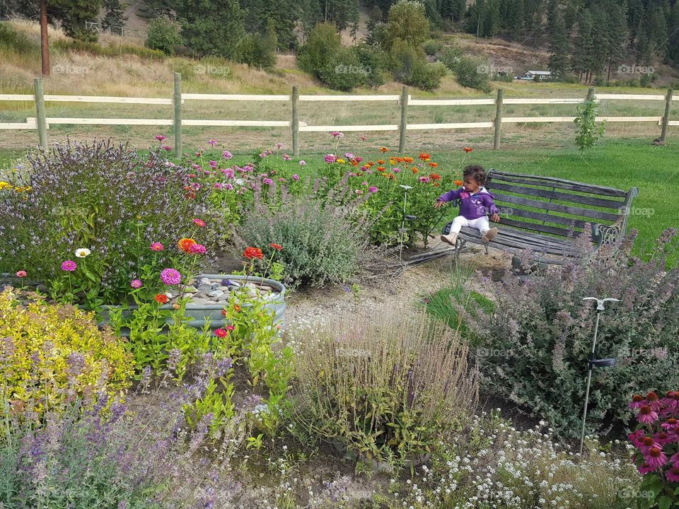 flower garden is this little girl's favorite place at home,  outside is her domain,  her and nana love the flower garden