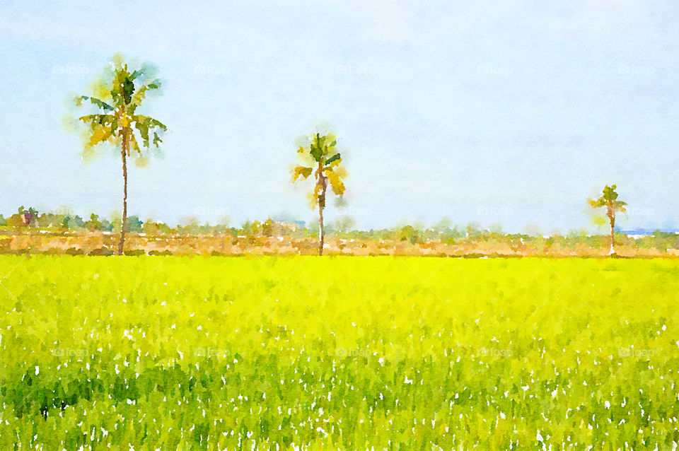 Watercolor of rice field in country Thailand