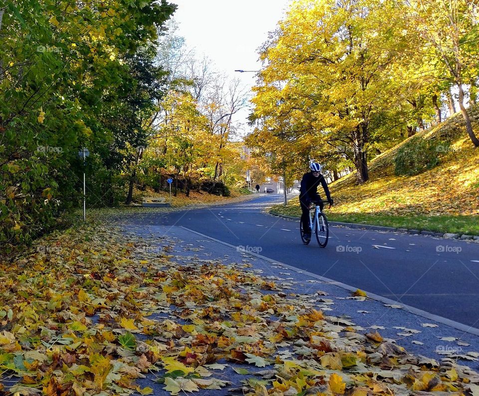 Autumn trip🍂🚲🍁 Outdoor 🍂🍁 Fall time 🍂🚲🍁