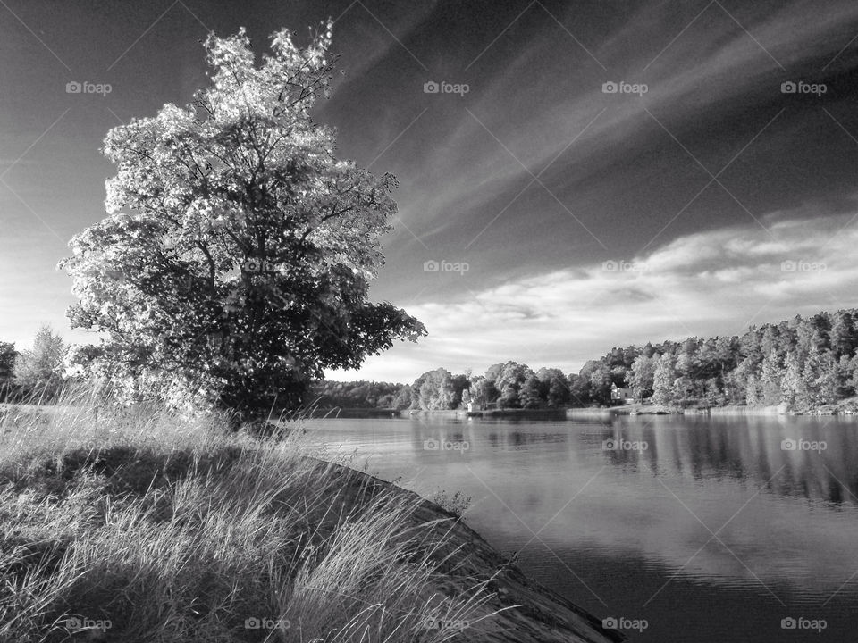 Landscape in Sweden