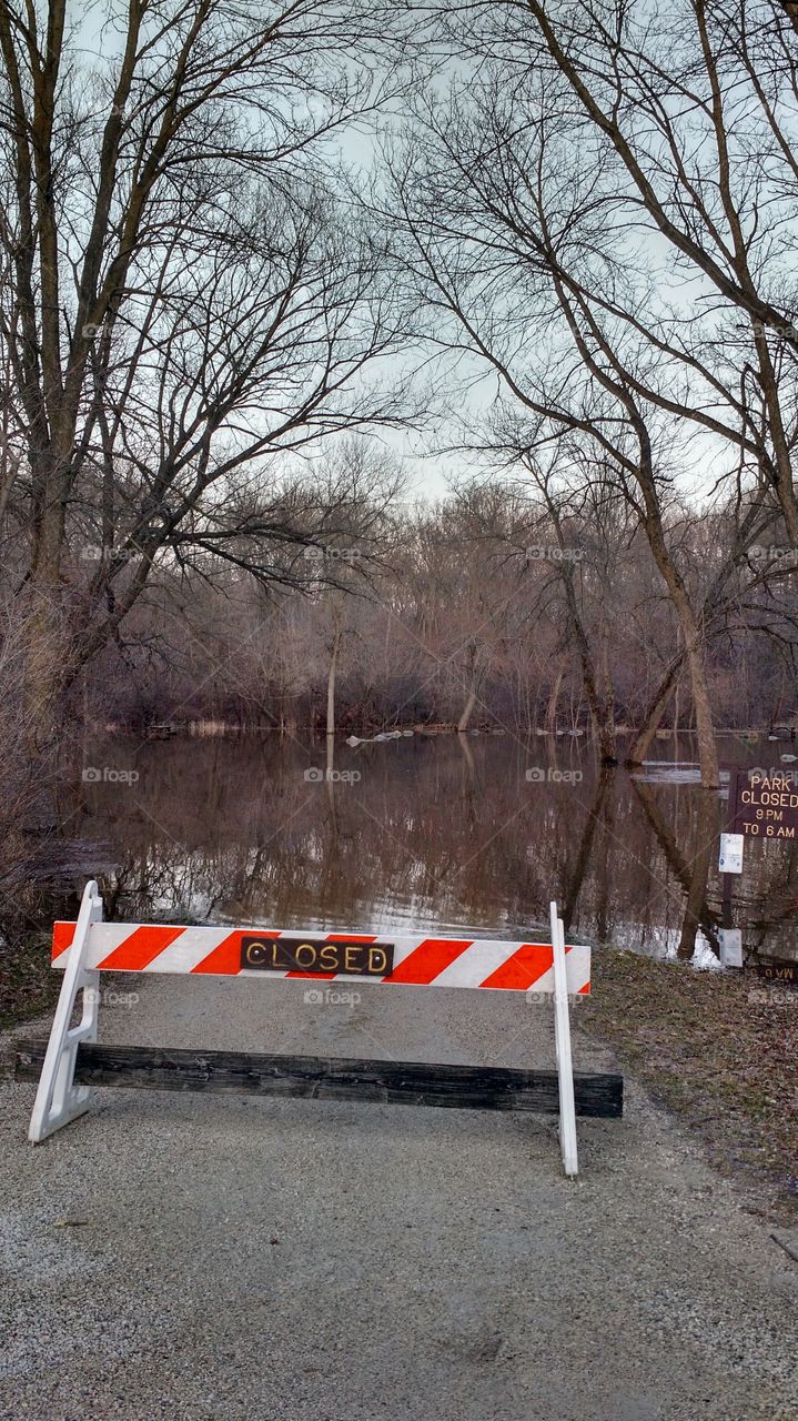 flooded park