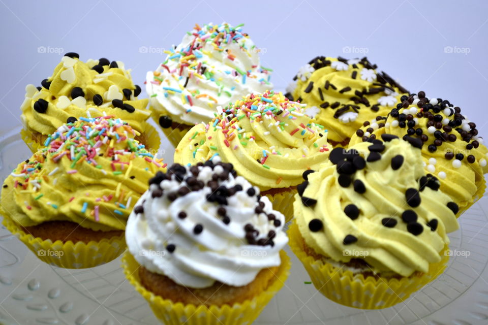 Crazy Cupcakes