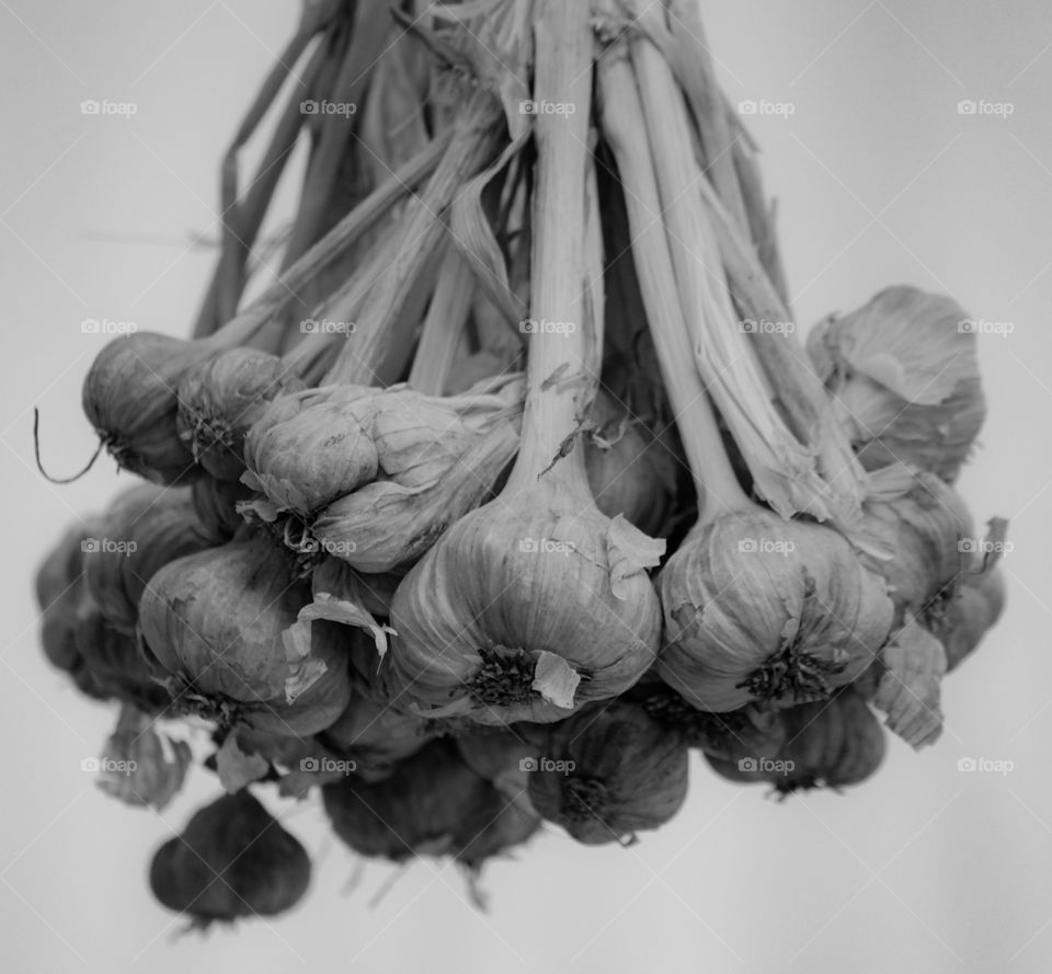 Black and White photo of Garlic bunch background