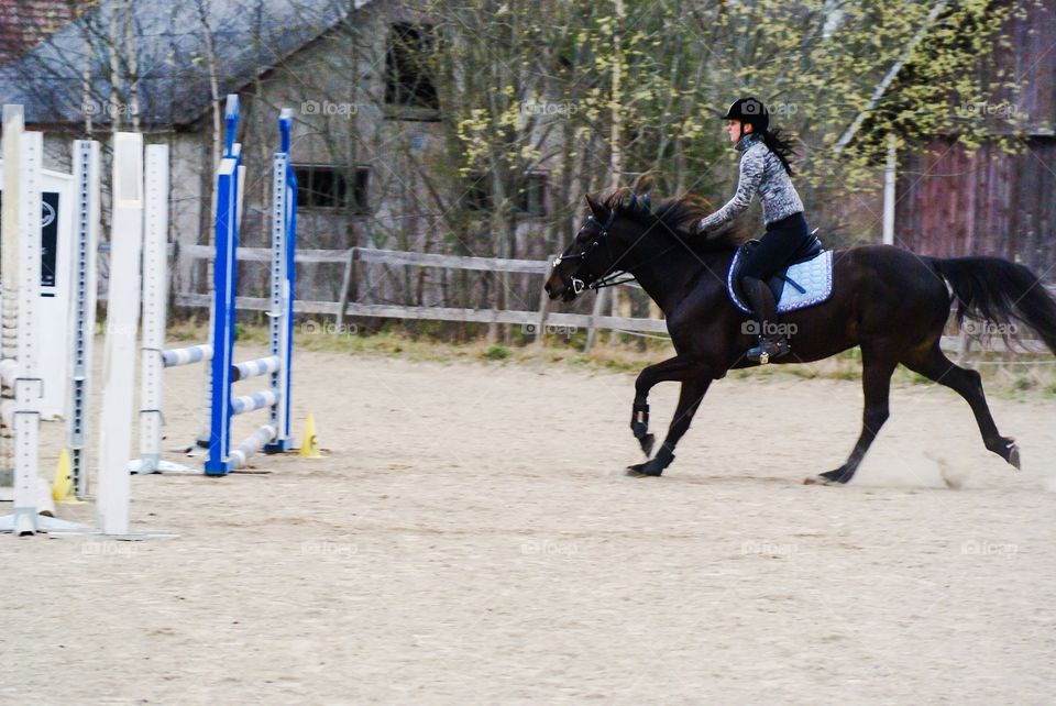 Girl riding. Girl riding her horse in a competition