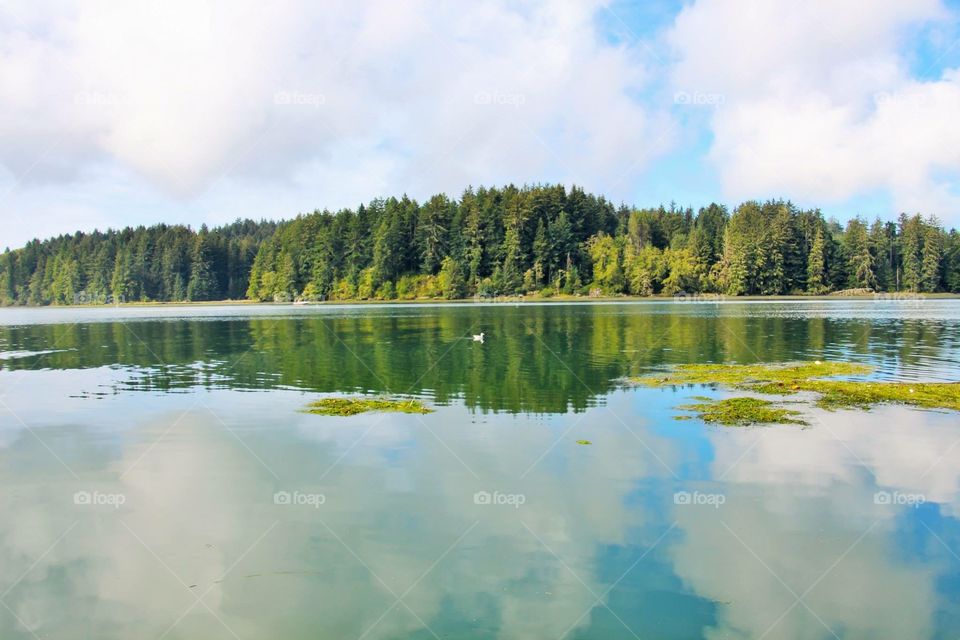 Lake, Water, No Person, Landscape, Reflection