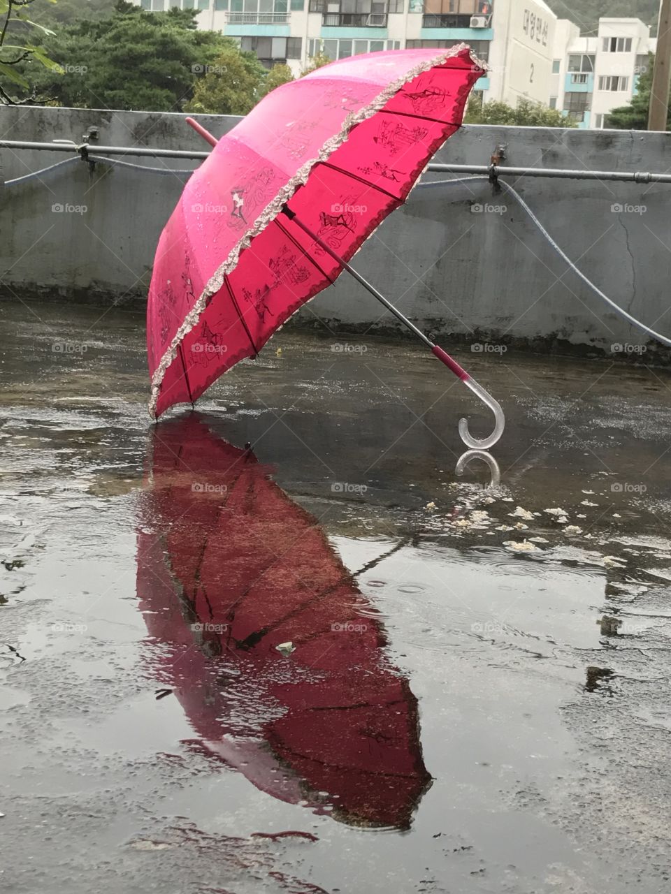 Pink umbrella under the rain