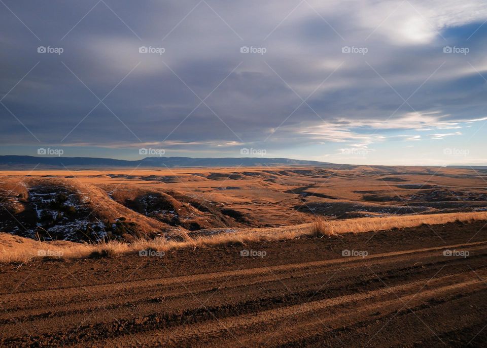 Montana plains and farming lands