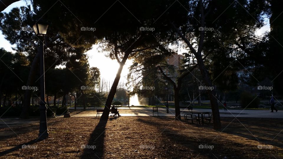 Tarde en el parque-Late in the park