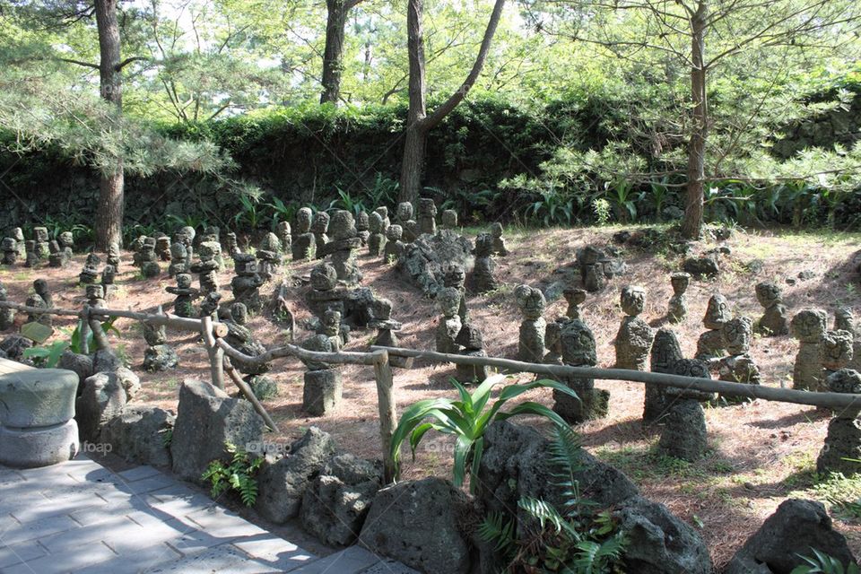 Rock Garden, Jeju Island