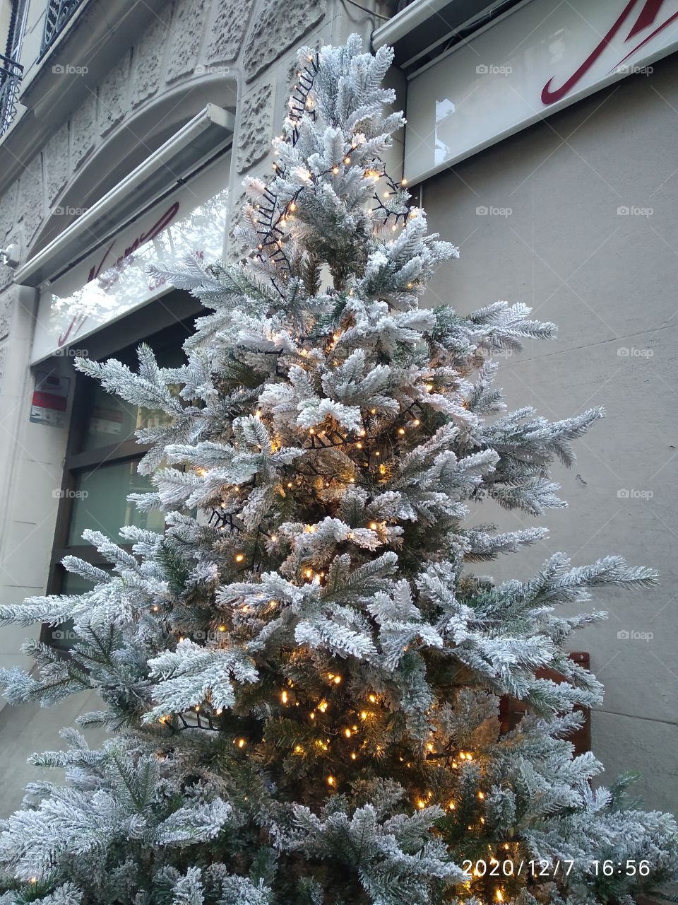 árbol de navidad