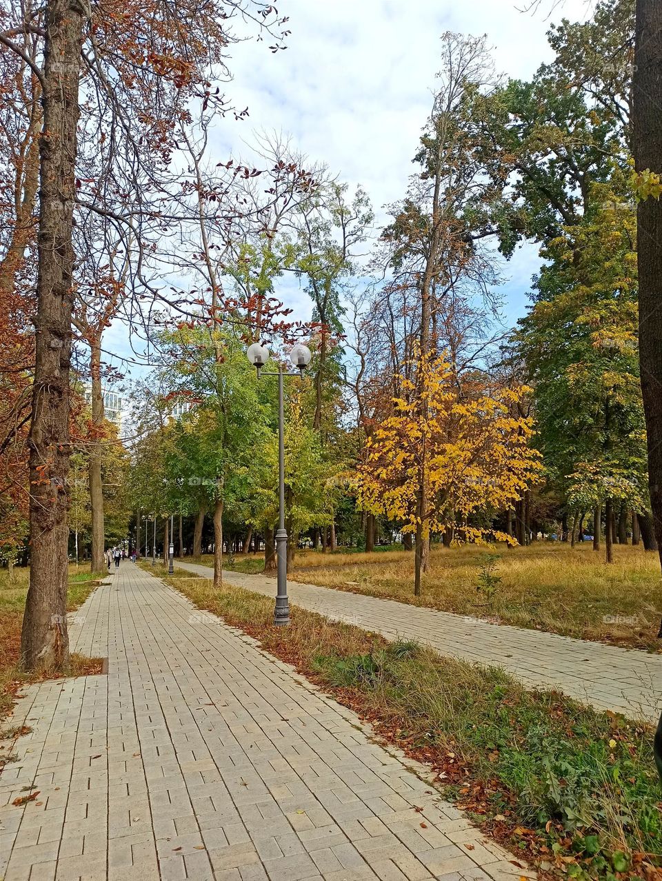 Fall Wins! (Bonus Exclusive Mission)