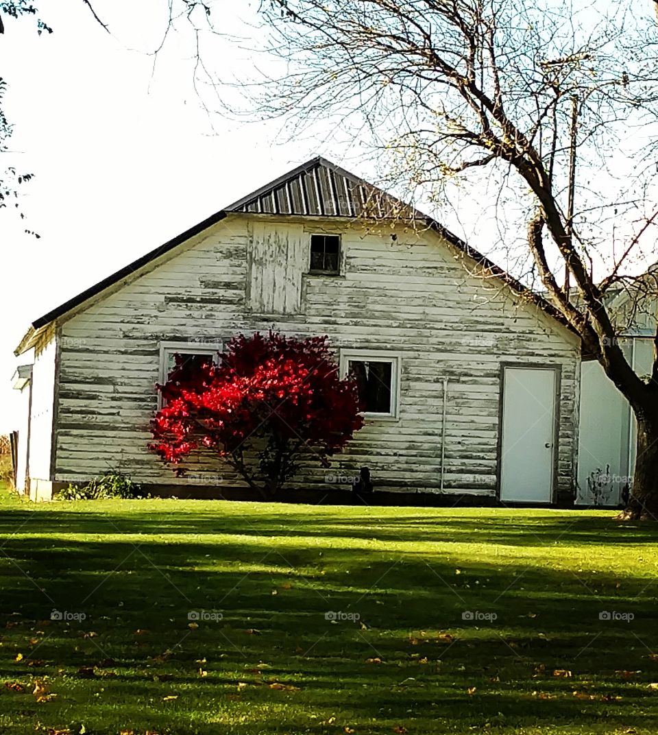 Old Barn