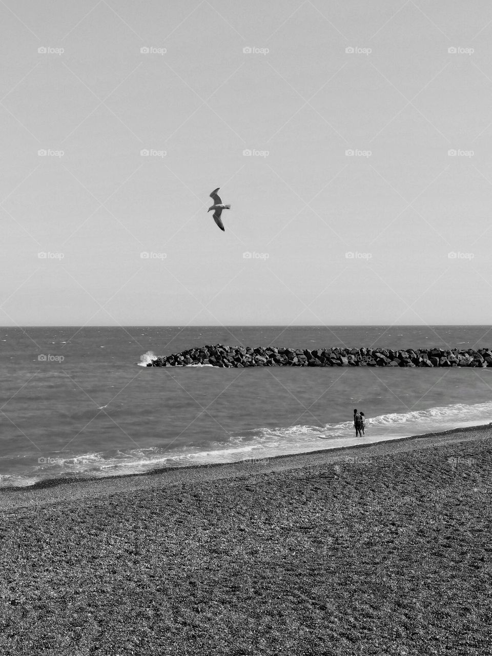Couple on the seashore. Seagull above the water. Black&white photo.