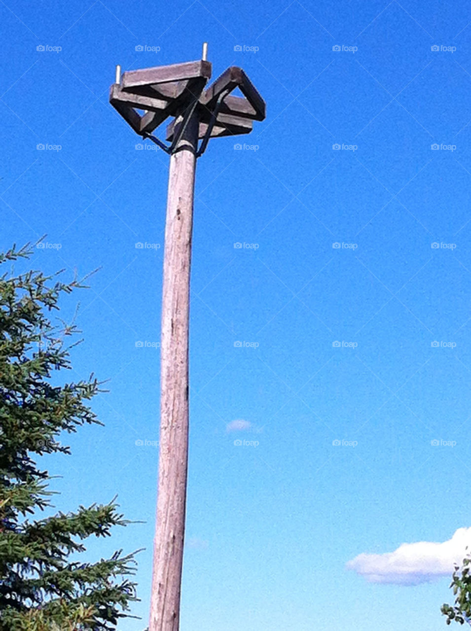 Perched Alone by deco_guy