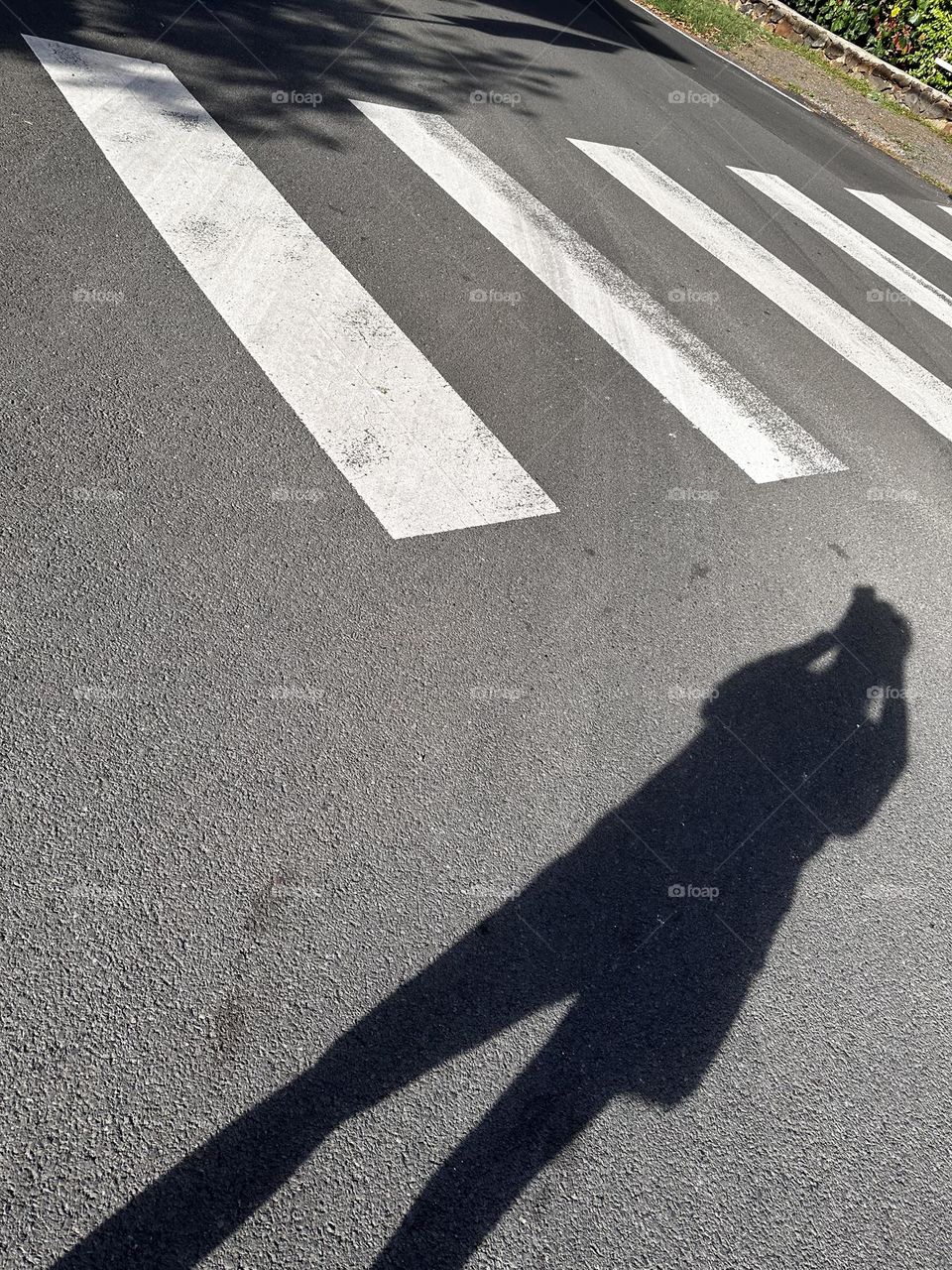 Portrait of the iPhone photographer’s shadow while shooting a white crosswalk pattern on a grey paved street