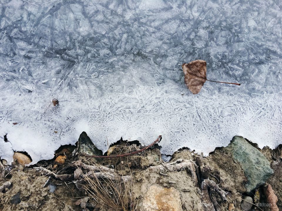Elevated view of dry leaf on frozen leaf