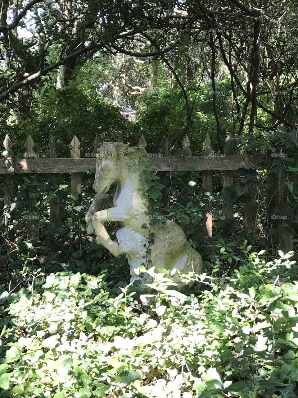 Overgrown whimsical white horse in the forest