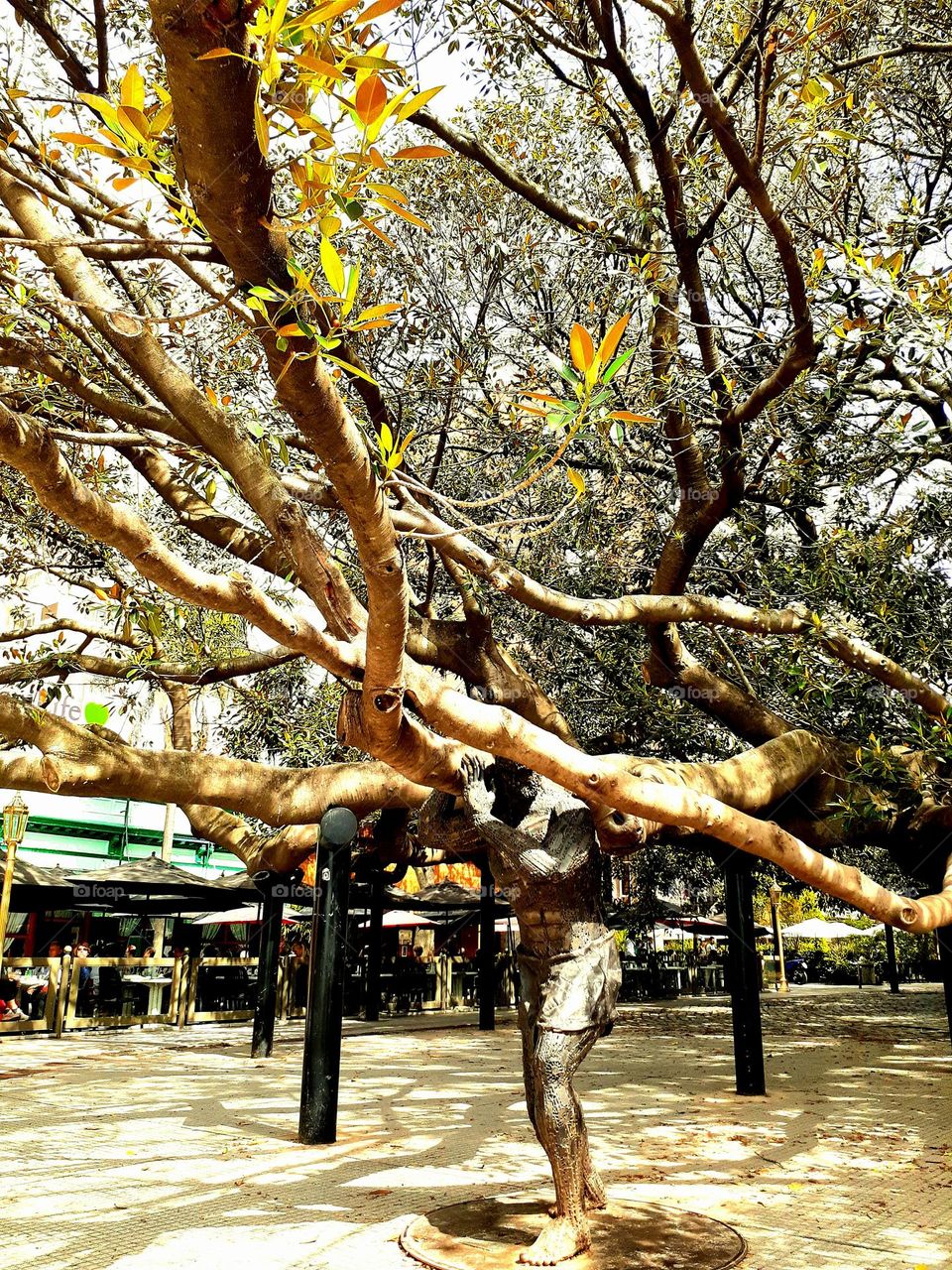 El Atlas de Recoleta, es una obra que está hecha con restos de autos en un 85% . Simboliza a un titán de la mitología griega que levanta una de las grandes y pesadas ramas del árbol histórico y de mayor valor patrimonial de la Ciudad.