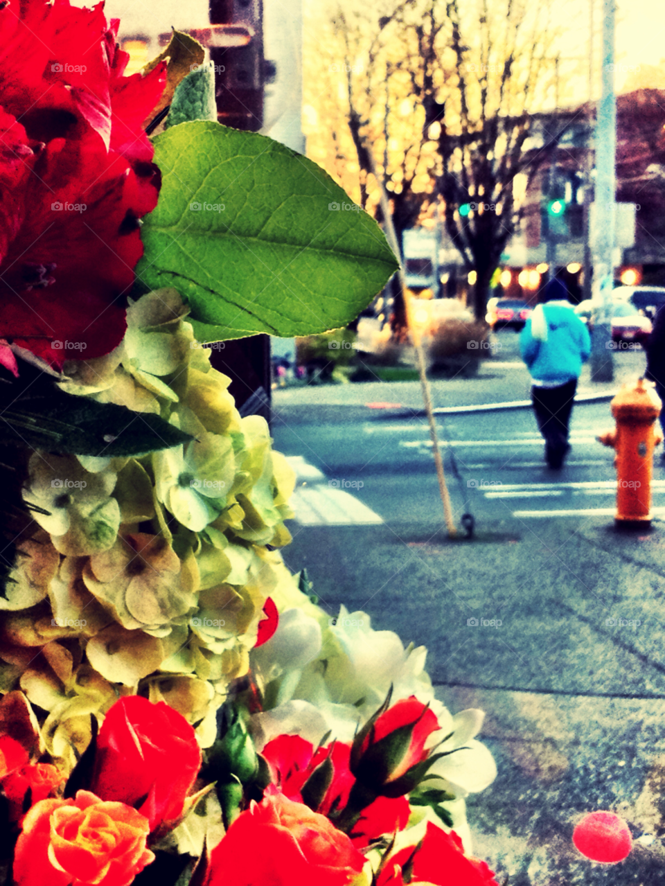 flowers sidewalk pedestrian fire hydrant by sellershot