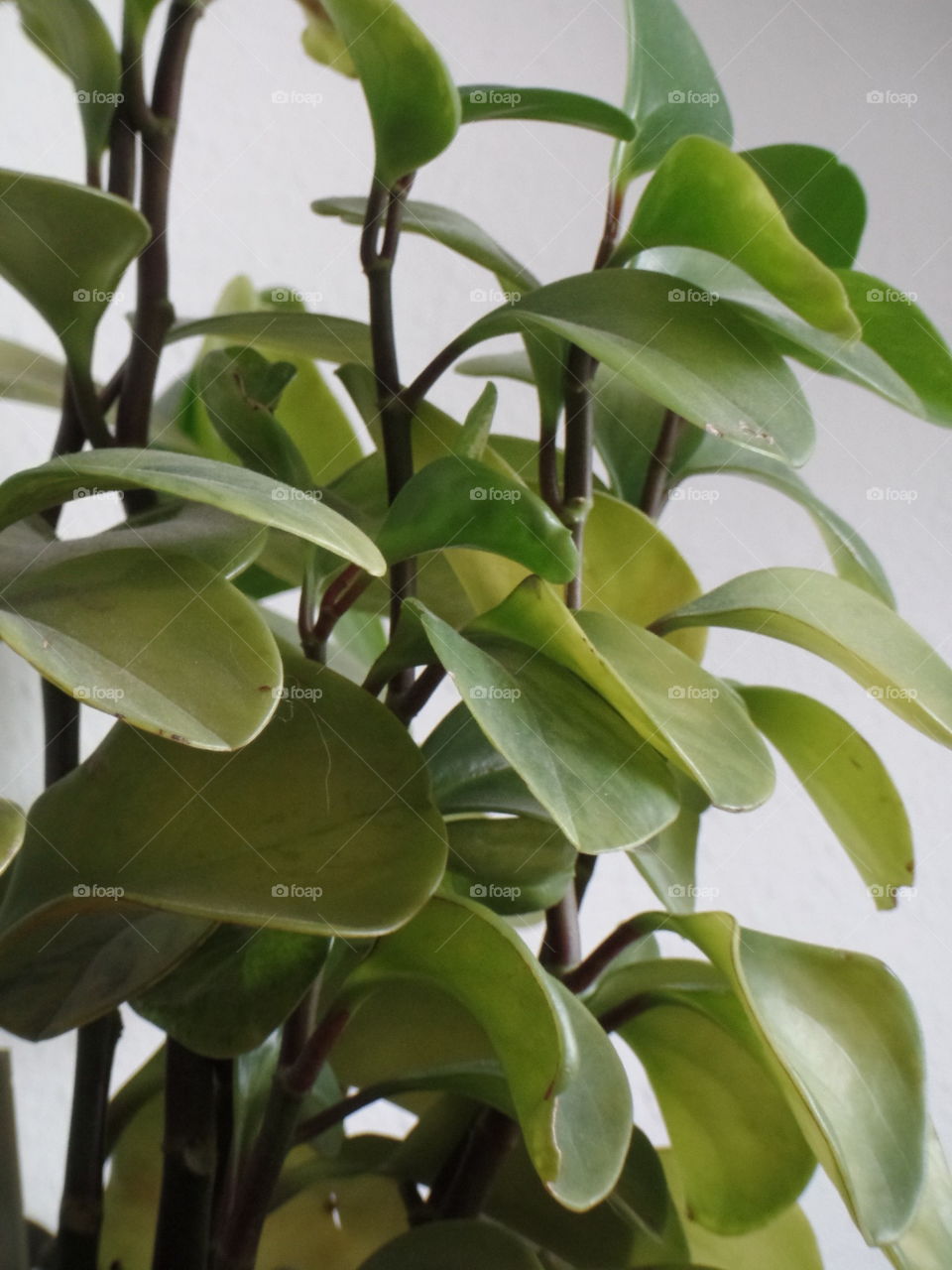 Spring is in the Air