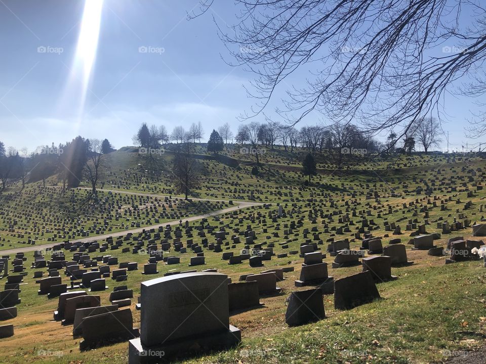 Sunny Cemetery