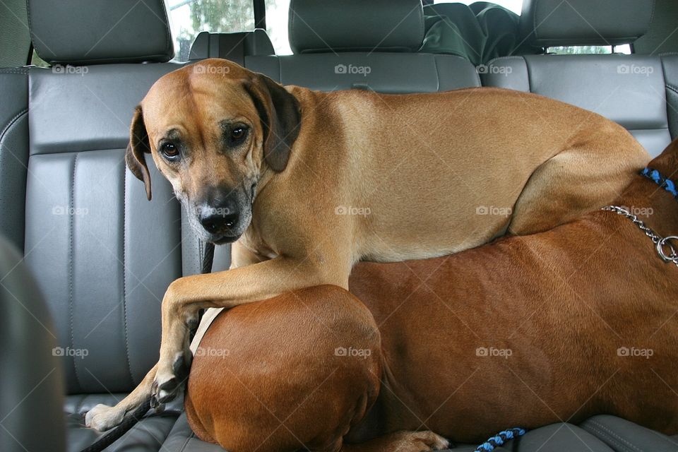 getting away with being Lazy with style