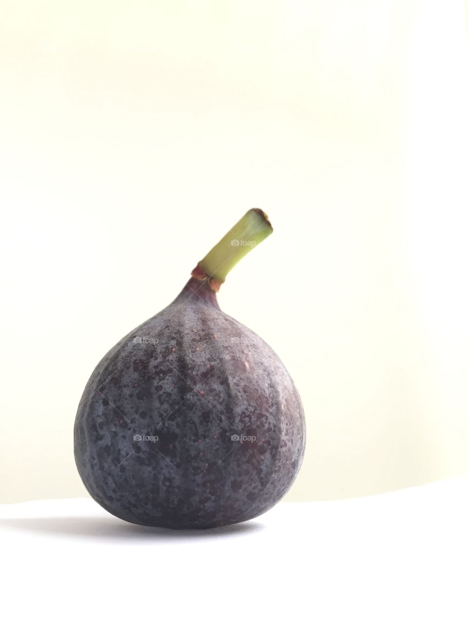 Fig