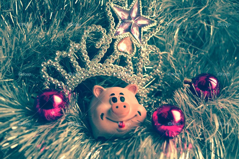 new year pig decor