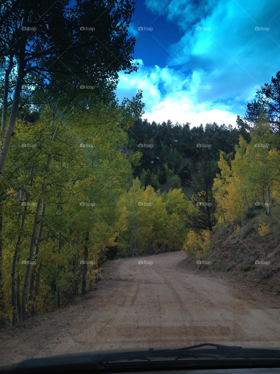 Scenic Drive in the fall