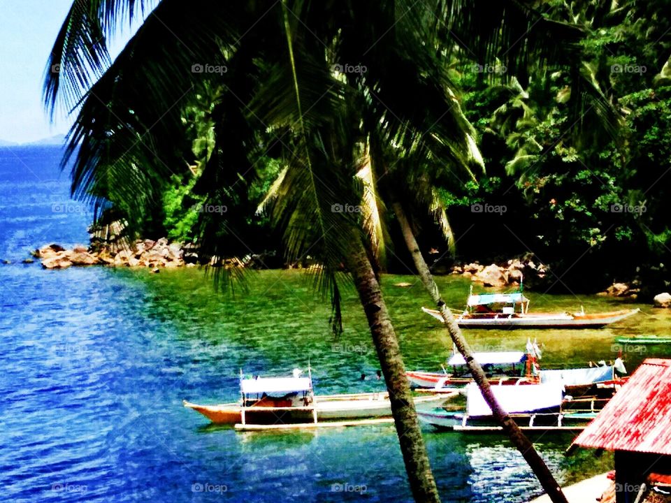 Traditional Philippines motorized wooden banca boats anchored at tropical island beach surrounded with blue crystal clear sea.