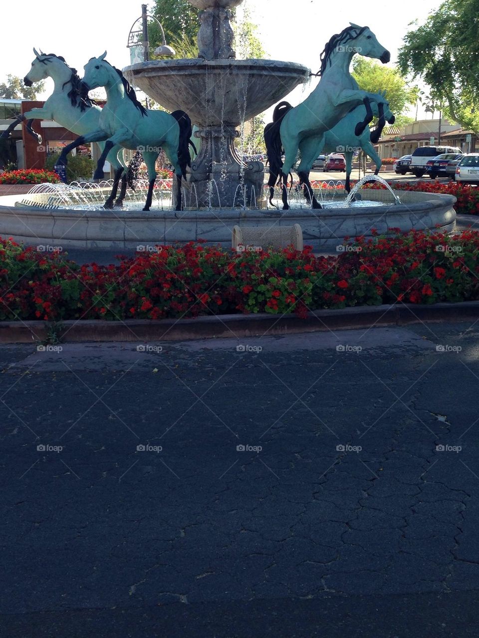 Horses in a fountain