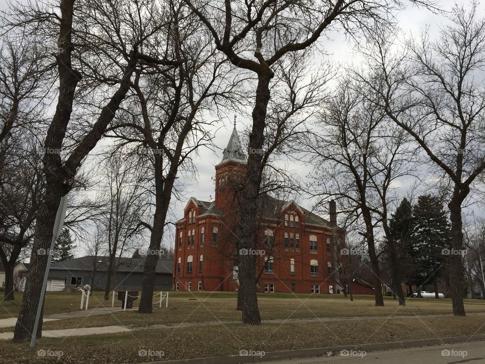 Tree, No Person, Park, Home, Winter