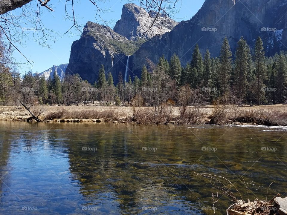 Yosemite river scene